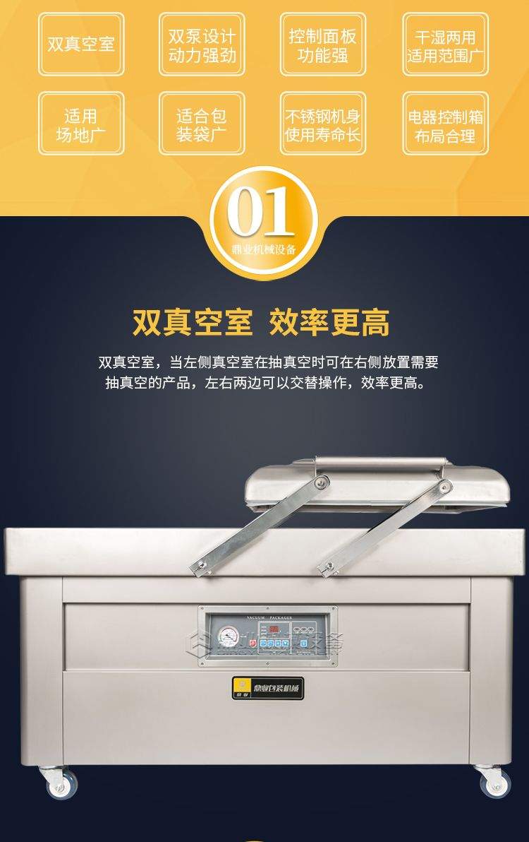 DZ600-2SB双室真空包装机(图2)