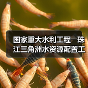 国家重大水利工程――珠江三角洲水资源配置工程正式通水(图2) 国家重大水利工程――珠江三角洲水资源配置工程正式通水(图2)