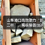 山东港口高效助力“新三样”、高端装备加速出海(图2) 山东港口高效助力“新三样”、高端装备加速出海(图2)