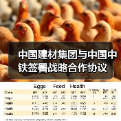 中国建材集团与中国中铁签署战略合作协议(图4) 中国建材集团与中国中铁签署战略合作协议(图4)