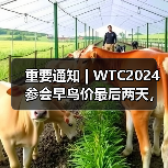 重要通知 | WTC2024参会早鸟价最后两天,最高优惠千元!(图3) 重要通知 | WTC2024参会早鸟价最后两天,最高优惠千元!(图3)