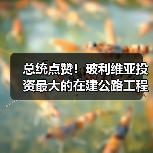 总统点赞！玻利维亚投资最大的在建公路工程全面通车（图1）