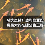 总统点赞！玻利维亚投资最大的在建公路工程全面通车（图4）