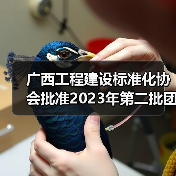 广西工程建设标准化协会批准2023年第二批团体标准立项（图3）