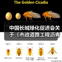 中国长城绿化促进会关于《市政道路工程沥青混凝土路面施工技术规范》等六项团体标准的立项公告(图3) 中国长城绿化促进会关于《市政道路工程沥青混凝土路面施工技术规范》等六项团体标准的立项公告(图3)