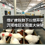 煤矿建筑物下压煤开采沉降难题实现重大突破（图1）