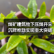 煤矿建筑物下压煤开采沉降难题实现重大突破（图2）