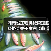 湖南省工程机械管理服务协会关于发布《非道路移动工程机械排气烟度限值及检测技术规范》团体标准的公告(图4) 湖南省工程机械管理服务协会关于发布《非道路移动工程机械排气烟度限值及检测技术规范》团体标准的公告(图4)
