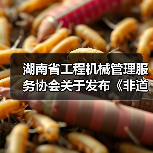 湖南省工程机械管理服务协会关于发布《非道路移动工程机械排气烟度限值及检测技术规范》团体标准的公告(图1) 湖南省工程机械管理服务协会关于发布《非道路移动工程机械排气烟度限值及检测技术规范》团体标准的公告(图1)