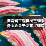 湖南省工程机械管理服务协会关于发布《非道路移动工程机械排气烟度限值及检测技术规范》团体标准的公告(图2) 湖南省工程机械管理服务协会关于发布《非道路移动工程机械排气烟度限值及检测技术规范》团体标准的公告(图2)