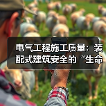 电气工程施工质量:装配式建筑安全的“生命线”(图3) 电气工程施工质量:装配式建筑安全的“生命线”(图3)