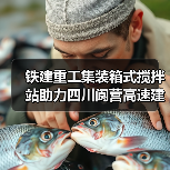 铁建重工集装箱式搅拌站助力四川阆营高速建设(图3) 铁建重工集装箱式搅拌站助力四川阆营高速建设(图3)