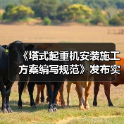 《塔式起重机安装施工方案编写规范》发布实施（图2）