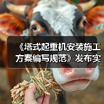 《塔式起重机安装施工方案编写规范》发布实施（图3）