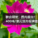 联合研发,国内首台!400吨/单元顶升模块重磅发布(图3) 联合研发,国内首台!400吨/单元顶升模块重磅发布(图3)