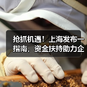 抢抓机遇!上海发布一指南,资金扶持助力企业腾飞!(图3) 抢抓机遇!上海发布一指南,资金扶持助力企业腾飞!(图3)