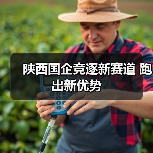 陕西国企竞逐新赛道 跑出新优势(图4) 陕西国企竞逐新赛道 跑出新优势(图4)