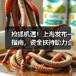 抢抓机遇!上海发布一指南,资金扶持助力企业腾飞!(图2) 抢抓机遇!上海发布一指南,资金扶持助力企业腾飞!(图2)