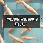 中铝集团实现首季度“开门红”(图3) 中铝集团实现首季度“开门红”(图3)