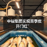 中铝集团实现首季度“开门红”(图4) 中铝集团实现首季度“开门红”(图4)