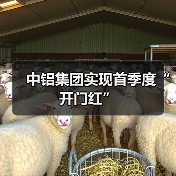 中铝集团实现首季度“开门红”(图1) 中铝集团实现首季度“开门红”(图1)