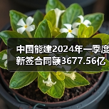 中国能建2024年一季度新签合同额3677.56亿元(图2) 中国能建2024年一季度新签合同额3677.56亿元(图2)