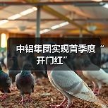 中铝集团实现首季度“开门红”(图2) 中铝集团实现首季度“开门红”(图2)