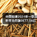 中国能建2024年一季度新签合同额3677.56亿元(图4) 中国能建2024年一季度新签合同额3677.56亿元(图4)