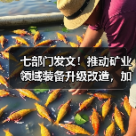 七部门发文!推动矿业领域装备升级改造,加强绿色矿山建设(图3) 七部门发文!推动矿业领域装备升级改造,加强绿色矿山建设(图3)