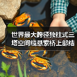 世界最大跨径独柱式三塔空间缆悬索桥上部结构施工全面展开(图3) 世界最大跨径独柱式三塔空间缆悬索桥上部结构施工全面展开(图3)