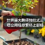 世界最大跨径独柱式三塔空间缆悬索桥上部结构施工全面展开(图2) 世界最大跨径独柱式三塔空间缆悬索桥上部结构施工全面展开(图2)