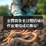 全国首条全过程机械化作业海缆成功敷设！（图4）