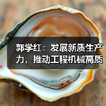 郭学红:发展新质生产力,推动工程机械高质量发展(图2) 郭学红:发展新质生产力,推动工程机械高质量发展(图2)