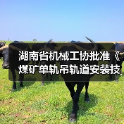 湖南省机械工协批准《煤矿单轨吊轨道安装技术规范》立项(图2) 湖南省机械工协批准《煤矿单轨吊轨道安装技术规范》立项(图2)