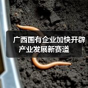 广西国有企业加快开辟产业发展新赛道(图2) 广西国有企业加快开辟产业发展新赛道(图2)
