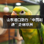 山东港口助力“中国制造”走俏非洲(图1) 山东港口助力“中国制造”走俏非洲(图1)