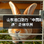 山东港口助力“中国制造”走俏非洲(图2) 山东港口助力“中国制造”走俏非洲(图2)