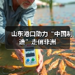 山东港口助力“中国制造”走俏非洲(图3) 山东港口助力“中国制造”走俏非洲(图3)