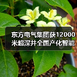 东方电气集团获12000米超深井全国产化智能钻机订单(图4) 东方电气集团获12000米超深井全国产化智能钻机订单(图4)