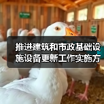 推进建筑和市政基础设施设备更新工作实施方案印发(图3) 推进建筑和市政基础设施设备更新工作实施方案印发(图3)