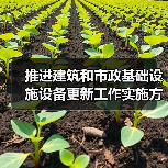 推进建筑和市政基础设施设备更新工作实施方案印发(图4) 推进建筑和市政基础设施设备更新工作实施方案印发(图4)