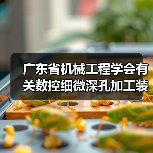 广东省机械工程学会有关数控细微深孔加工装备标准实施(图2) 广东省机械工程学会有关数控细微深孔加工装备标准实施(图2)