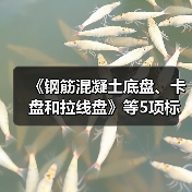 《钢筋混凝土底盘、卡盘和拉线盘》等5项标准公开征意(图4) 《钢筋混凝土底盘、卡盘和拉线盘》等5项标准公开征意(图4)