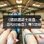《钢筋混凝土底盘、卡盘和拉线盘》等5项标准公开征意(图2) 《钢筋混凝土底盘、卡盘和拉线盘》等5项标准公开征意(图2)