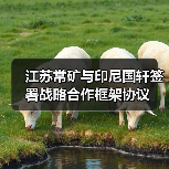 江苏常矿与印尼国轩签署战略合作框架协议(图3) 江苏常矿与印尼国轩签署战略合作框架协议(图3)