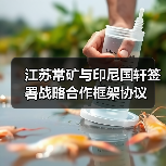 江苏常矿与印尼国轩签署战略合作框架协议(图1) 江苏常矿与印尼国轩签署战略合作框架协议(图1)