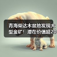 青海柴达木盆地发现大型金矿!潜在价值超200亿(图2) 青海柴达木盆地发现大型金矿!潜在价值超200亿(图2)