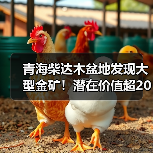 青海柴达木盆地发现大型金矿!潜在价值超200亿(图3) 青海柴达木盆地发现大型金矿!潜在价值超200亿(图3)