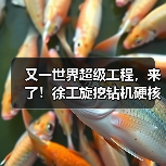 又一世界超级工程,来了!徐工旋挖钻机硬核助力(图4) 又一世界超级工程,来了!徐工旋挖钻机硬核助力(图4)