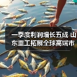 一季度利润增长五成 山东重工拓展全球高端市场(图4) 一季度利润增长五成 山东重工拓展全球高端市场(图4)